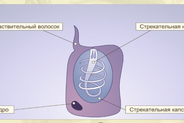 Кракен перейти