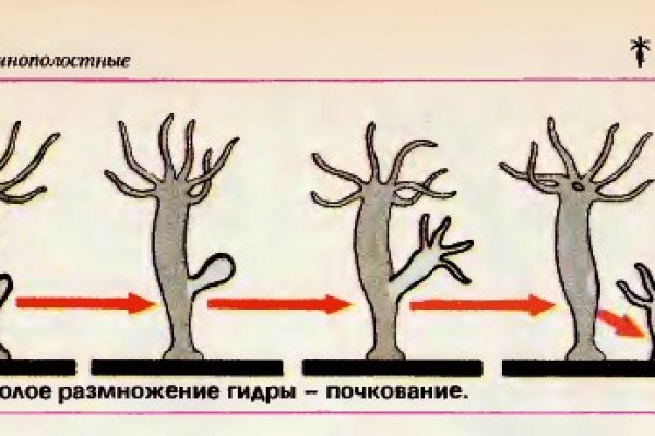 Ссылка на кракен