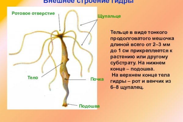 Кракен переходник ссылка