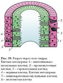Как войти на сайт кракен