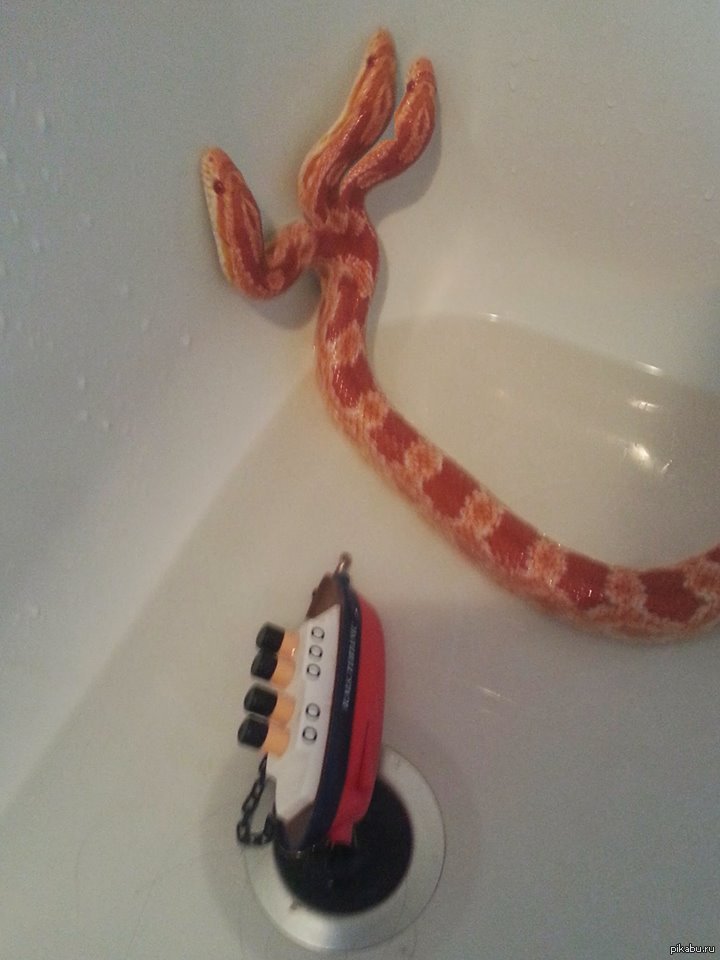 Kraken зеркало